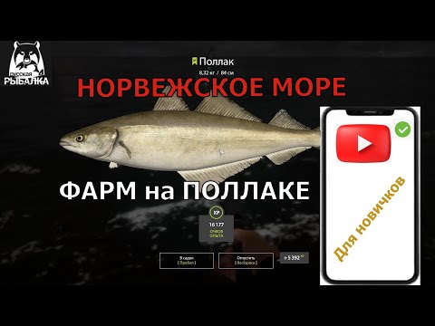 Видео: Для новичков!!! Норвежское море  Фарм на Поллаке