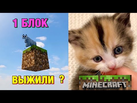 Видео: ПОСТРОИЛ ДОМ на ДЕРЕВЕ ЧТОБЫ ВЫЖИТЬ на 1 БЛОКЕ в МАЙНКРАФТ !