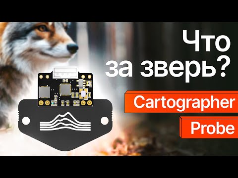Видео: Что за зверь Cartographer Probe?