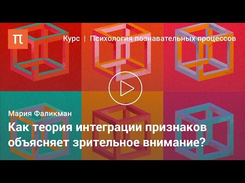 Видео: Зрительное внимание — Мария Фаликман