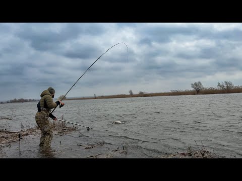 Видео: Нас ТОПИТЬ а САЗАНИ Пруть - р.Дністер