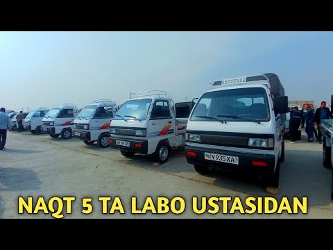 Видео: ЛАБО КАТОРИДА УСТАСИДАН АЖОЙИБ ЛАБОЛАР ТУПЛАМИ НАМАНГАН МАШИНА БОЗОРИ