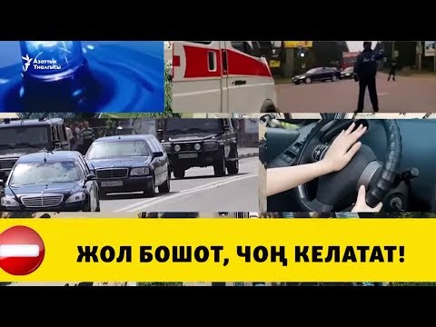 Видео: Жолду бошот, чоң келатат!