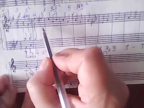 Видео: Гармония.  Гармонический мажор