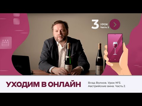 Видео: Влад Волков. Урок №3. Австрийские вина. Часть 2