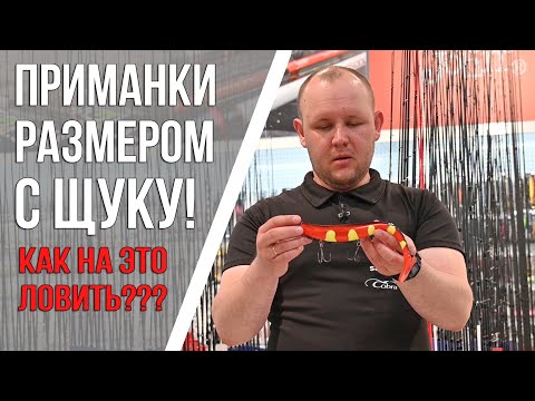 Видео: Приманки размером с ЩУКУ! Что с этим делать и как на это ловить?!