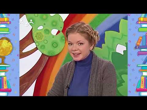 Видео: Школа Шишкиного Леса. Русский язык. Азбука и алфавит