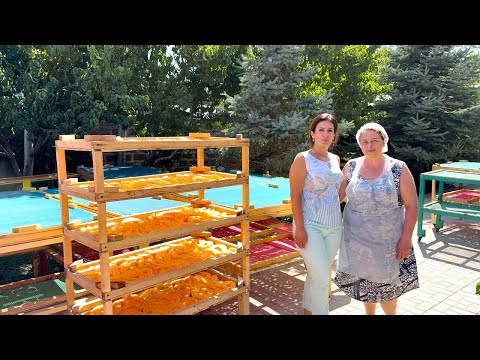 Видео: Домашнее Производство Сухофруктов в Армении — Секреты Натурального Вкуса!)