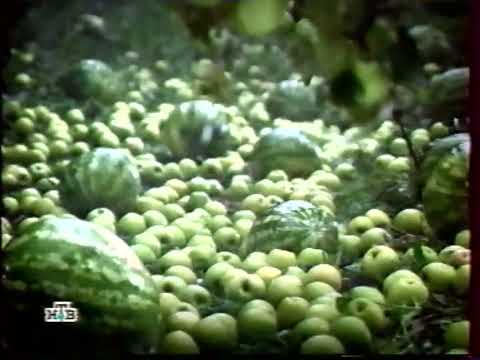 Видео: Программа передач и конец эфира (НТВ, 01.10.2003) (высокое качество)