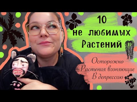 Видео: 10 не любимых растений из моей коллекции.