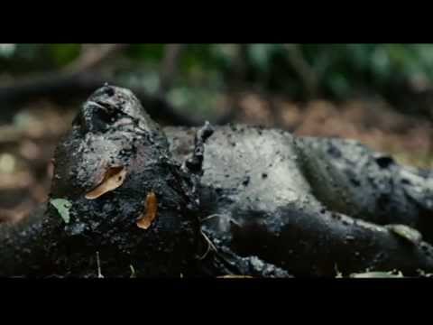 Видео: АриЯ - Беги за Солнцем