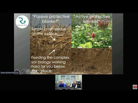 Видео: Новые знания о микробиоме и микробиоте от Tainio