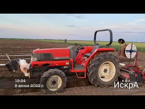 Видео: Сравнение мульчирующей пленки. Дорогой и бюджетный варианты.