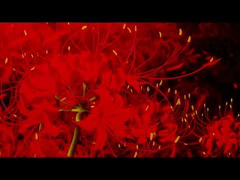 Видео: Yanix – Не говори им (slowed + reverb)