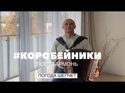 Видео: Когда осень шепчет музыкой — «Коробейники» на гармошке | «Korobeiniki»  — Autumn mood