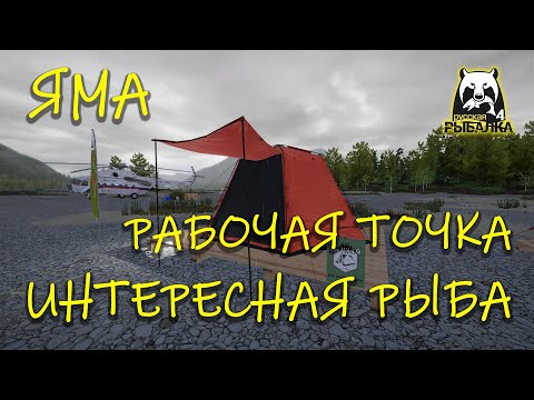 Видео: Русская рыбалка 4. рр4. Яма. Рабочая точка. Интересная рыба.