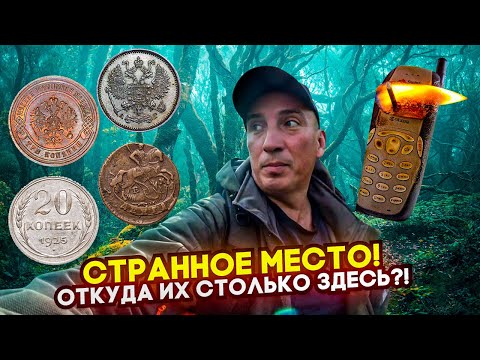 Видео: Нашёл 4 кошелька разных эпох в одном месте! Рядом был сожженный телефон, сумка и дорогой перстень!