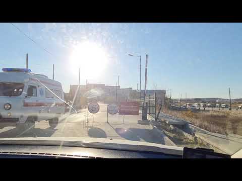 Видео: Сайсар (часть 2) Круговая мед центр. Чайковского.