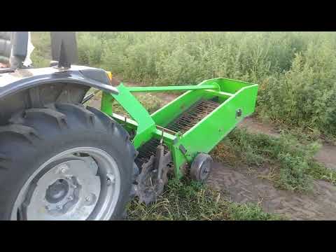 Видео: Мінітрактор ДТЗ і картоплекопалка Бомет