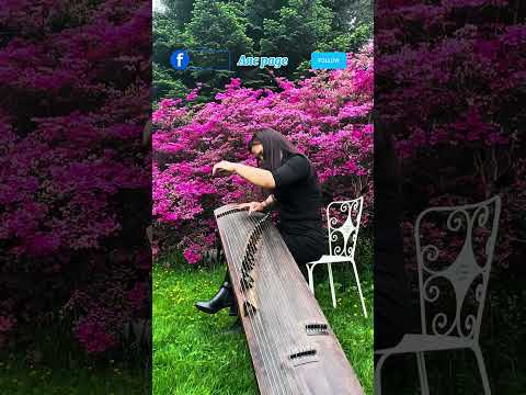 Видео: Ухаарч амьдрах хорвоо/ятгач Э. Сэвжидмаа Ukhaarch amidrah horvoo/ ytgach E. Sevjidmaa