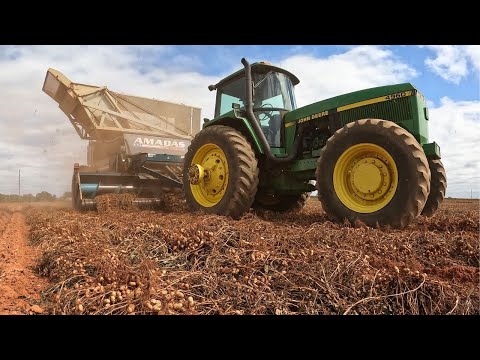 Видео: Сбор урожая остановлен!