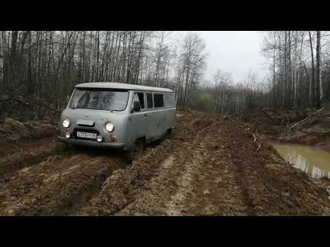 Видео: Кужет - Камалинка