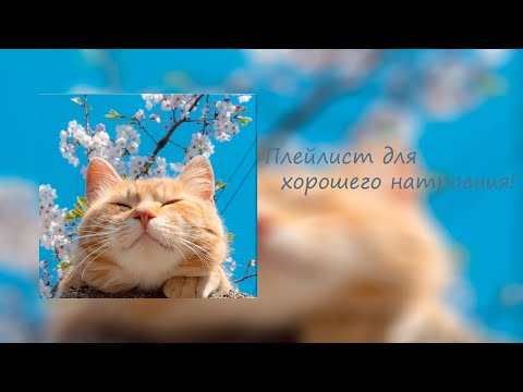 Видео: Плейлист для хорошего настроения!🧡