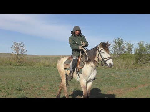 Видео: В табуне у Руслана. Май 2022.