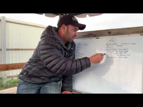 Видео: Кукуруза на зерно по Болгарской технологии