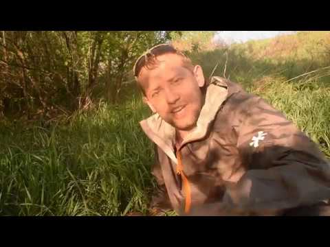 Видео: Донские сомята ВЕРХНЕГО ДОНА