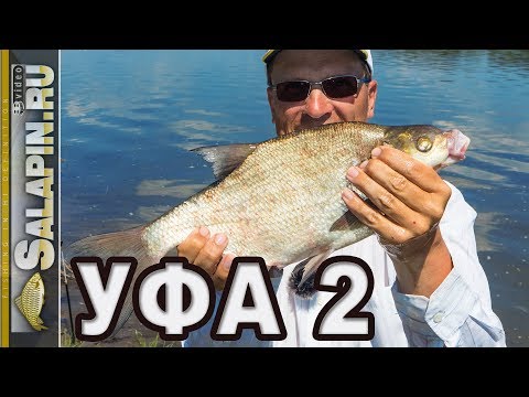 Видео: Рыбалка фидером на реке Белая, день второй [salapinru]