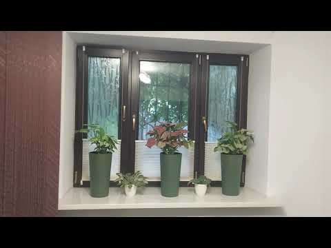 Видео: Оформление ПОДОКОННИКОВ цветами.