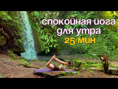 Видео: ЙОГА УТРОМ 25 минут | мягкая зарядка