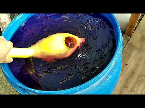 Видео: Как избавиться ОТ ВРЕДИТЕЛЕЙ на весь сезон? ЖЁСТКАЯ ОБРАБОТКА ГРУНТА в четыре этапа!