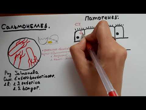 Видео: Сальмонеллез