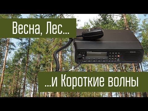 Видео: Motorola Micom, лес, весна и короткие волны.