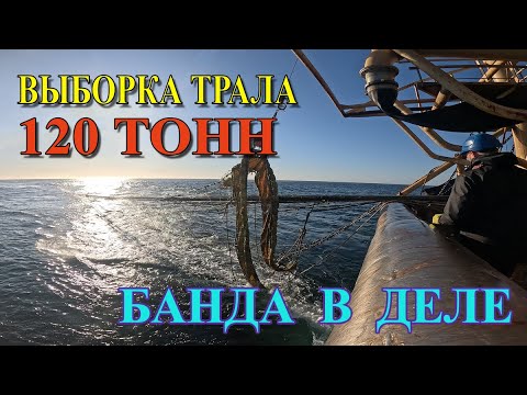 Видео: Выборка Трала 120 ТОНН | РЫБОЛОВНОЕ СУДНО С РЫБНЫМ НАСОСОМ