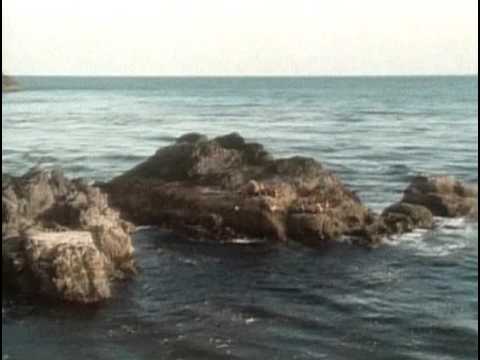 Видео: 10 1988 Северо восток Тихого океана   В краю живых тотемов - Подводная одиссея команды Кусто