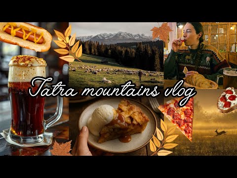 Видео: Уютная осень в Закопане 🍂🥐 Первый снег, местная еда и дикая природа | Видеоблог о Татрах