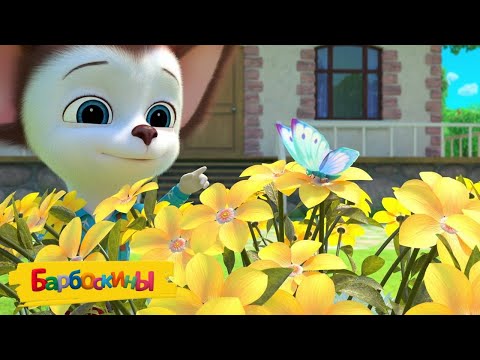 Видео: Барбоскины 🦋 Бабочка 🦋 Мультики для детей