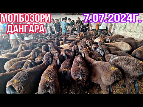 Видео: Молбозори Дангара 07.07.2024г.