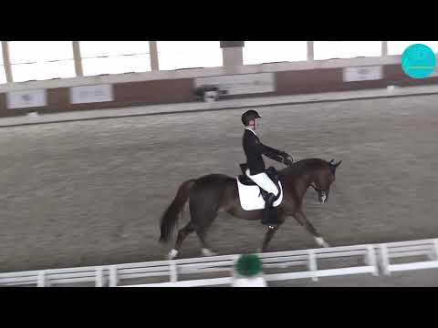 Видео: Осипов Растислав и Радель. Командный Приз. 65,230%. Алматы. 19-10-25