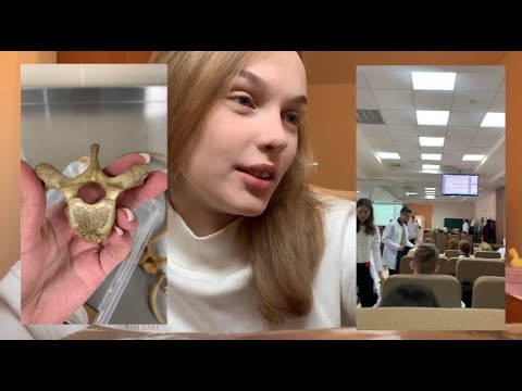 Видео: влог ПЕРЕЕЗД в санкт-петербург | поступление и заселение в общежитие