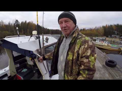 Видео: Рыбинка 2016 Заповедный Край