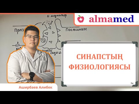 Видео: Синапстың физиологиясы