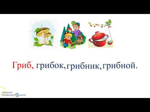 Видео: Однокоренные слова