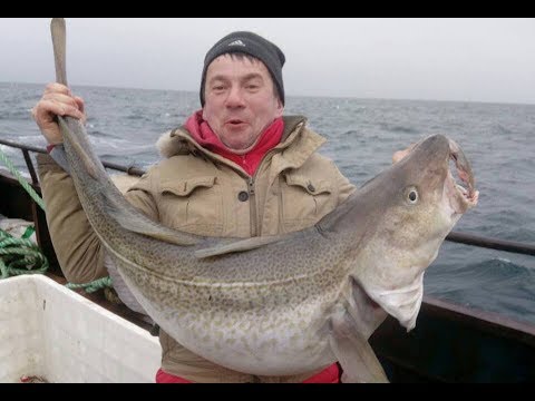 Видео: Мурманск Ура Губа апрель 2018