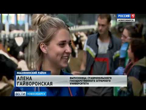 Видео: В Маслянино начали строить жилье для молодых специалистов
