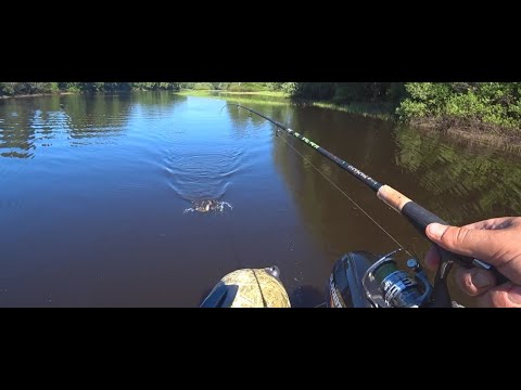 Видео: Рыбалка на реке Вычегда Республика Коми