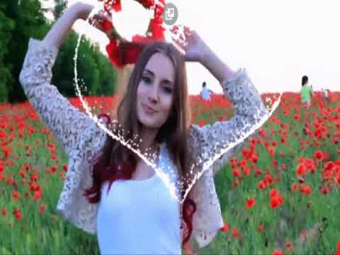 Видео: ЛЕНА   ЛЕНА   ЛЕНОЧКА